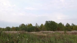 Alisa Lovely - Naughty Outdoor Picnic Ends for Amateur Couple with Blowjob and Sex