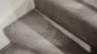Sex_Associates - Gangbang surprise. The first gangbang party for my wife went exactly as I planned.