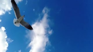 Irene Rouse - Ideal Day in HD